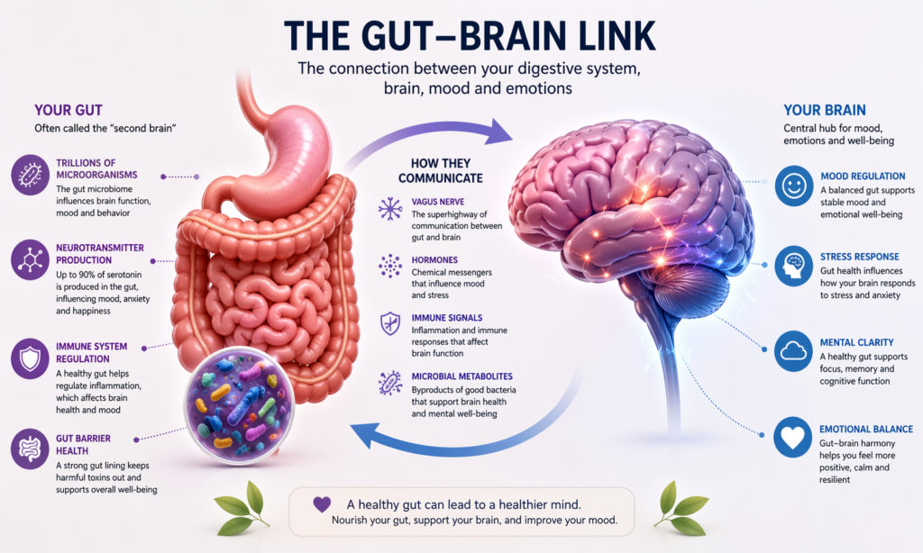 Gut Brain Link